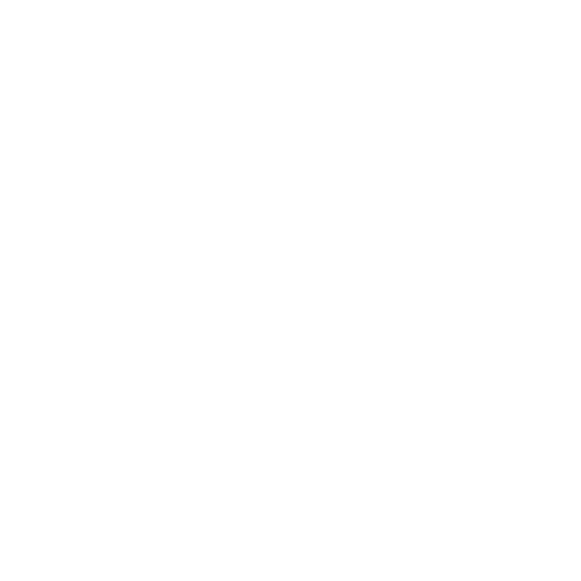logo 2400x2400